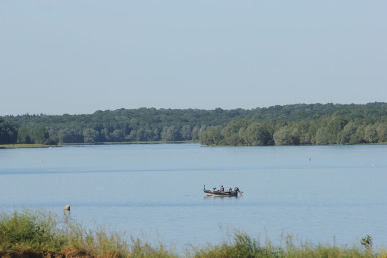 Pêche sur le lac